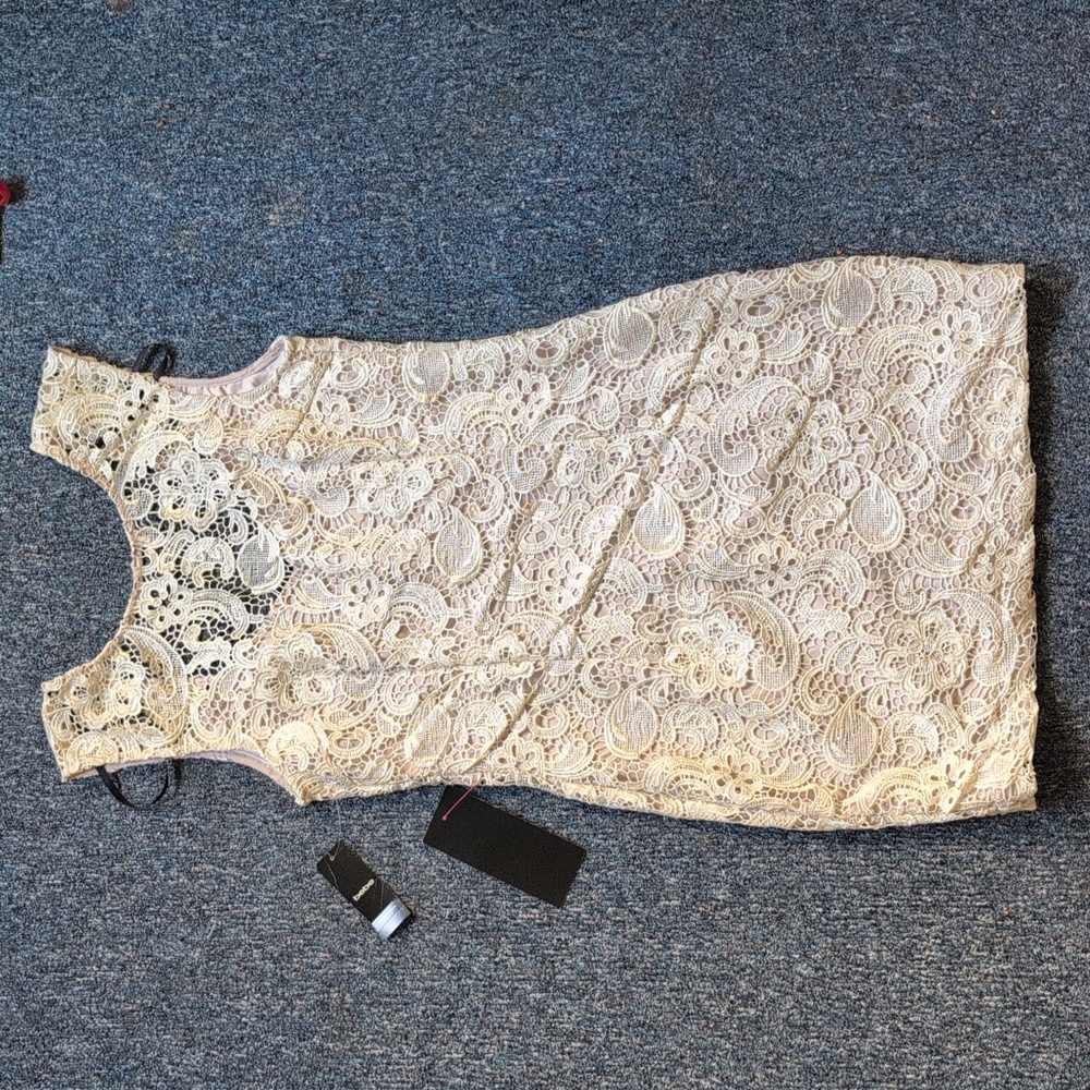 Bebe Lace Dress